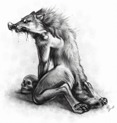 Vlkodlak 6